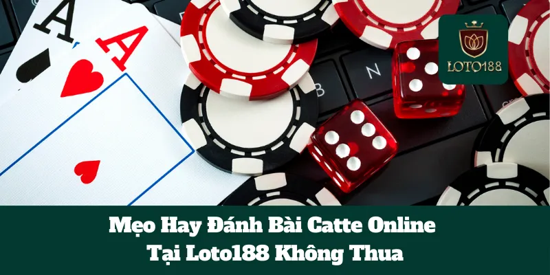 Mẹo Hay Đánh Bài Catte Online Loto188 Không Thua
