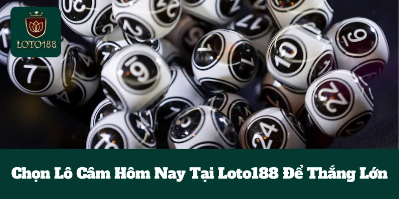 Chọn Lô Câm Hôm Nay Tại Loto188 Để Thắng Lớn