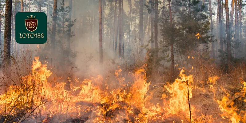 Mơ Thấy Lửa Là Điềm Gì? Giải Mã Giấc Mơ Và Con Số May Mắn 2 Mơ thấy lửa là điềm gì và con số cụ thể